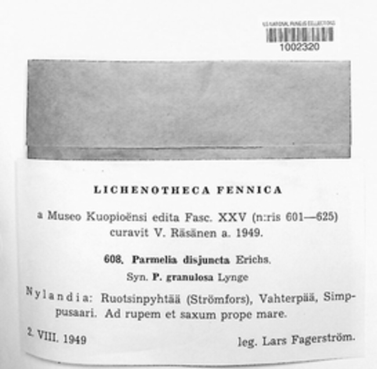 Montanelia disjuncta image